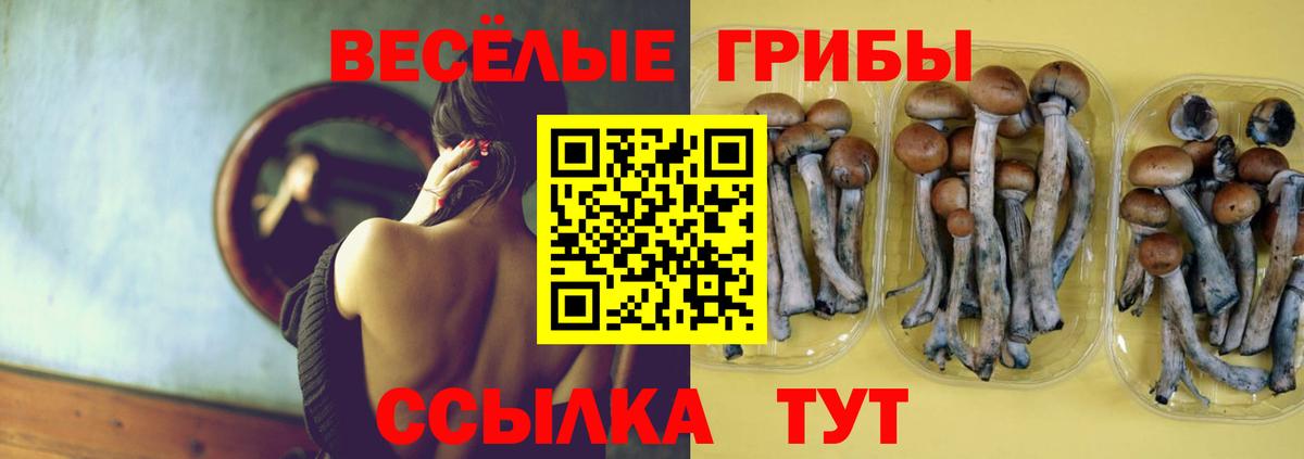 Югорск  даркнет сайт  Вход с VPN  Псилоцибиновые грибы Psilocybe 